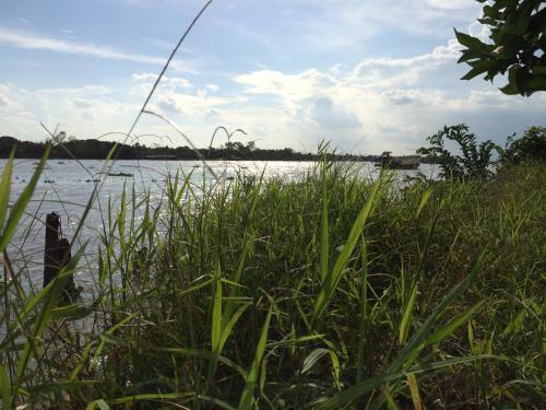 The Durian Lodge At Mekong