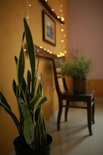 Mia's House