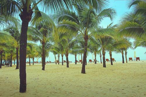 Hotel Chez Carole Beach Resort