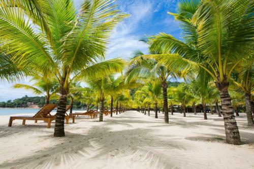 Hotel Chez Carole Beach Resort