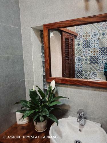 Classique Homestay