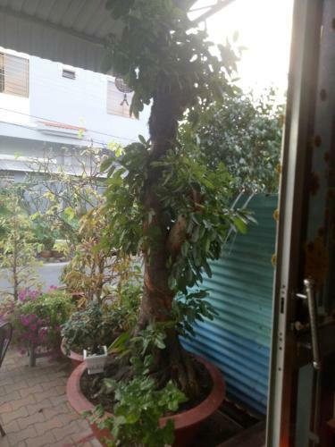 Hostal Hu?nh H??ng Guesthouse