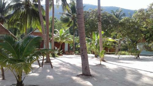Hotel Kiki Coconut Beach Resort