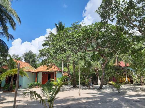 Hotel Kiki Coconut Beach Resort