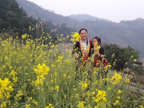 Dao Homestay