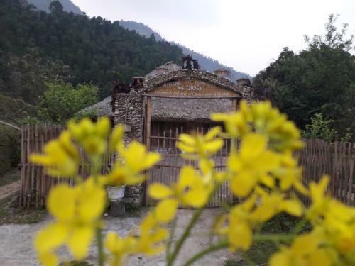 Dao Homestay