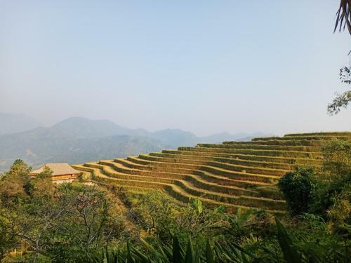 Dao Homestay