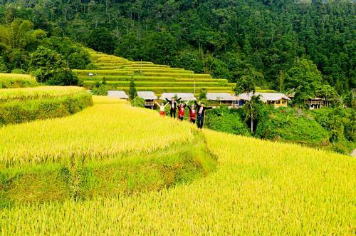 Dao Homestay