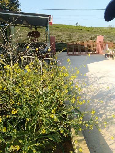 Homestay L�ng Ch� 69