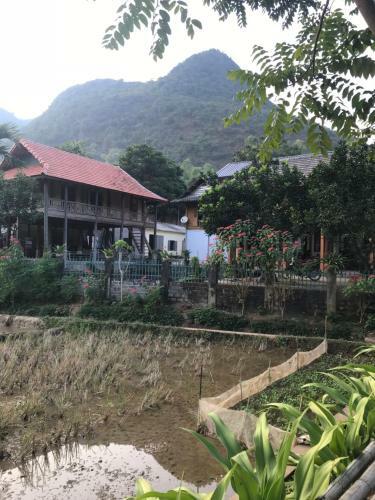 Bed & Breakfast Th?o Homestay