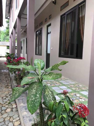 Bed & Breakfast Th?o Homestay