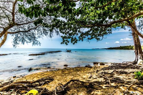 Villa Sen Viet Phu Quoc Resort, Sport & Spa