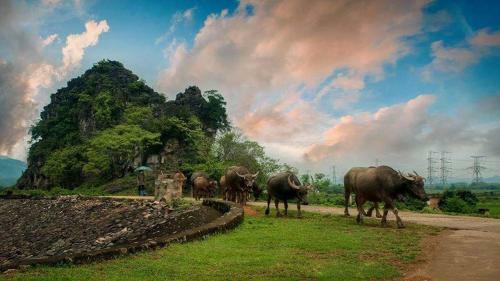 Albergue Tam Coc White Swan Homestay