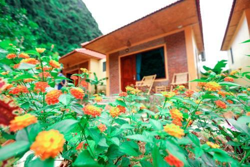 An Ngoc Tam Coc Bungalow