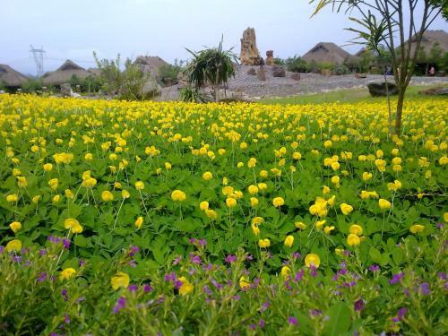 Hotel Cucphuong Resort
