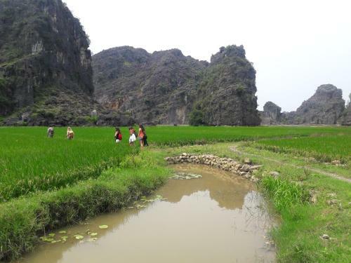 Ninh Binh Family Homestay