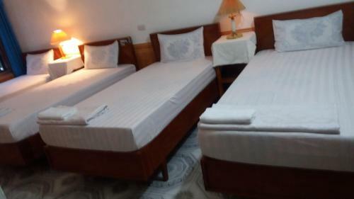 Ninh Binh Homestay