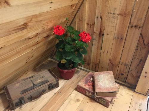 Hotel Trang An Secret Garden