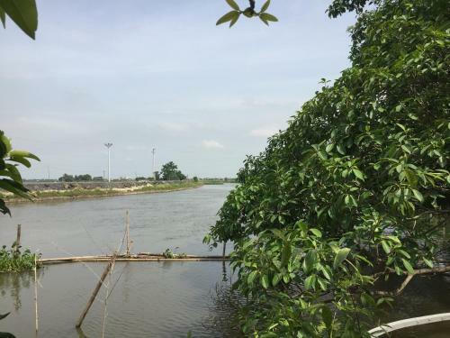 Phuong Thao Homestay