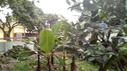 Apartamento Hoang Homestay