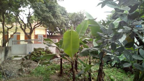 Apartamento Hoang Homestay