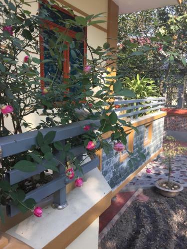 Hoang Giang Homestay