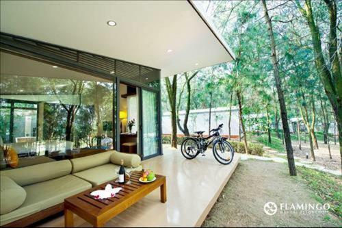 Flamingo Happy Villa Owner