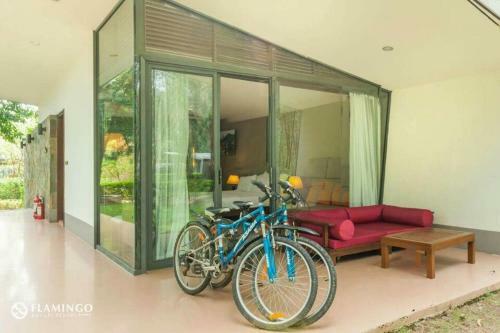 Flamingo Happy Villa Owner