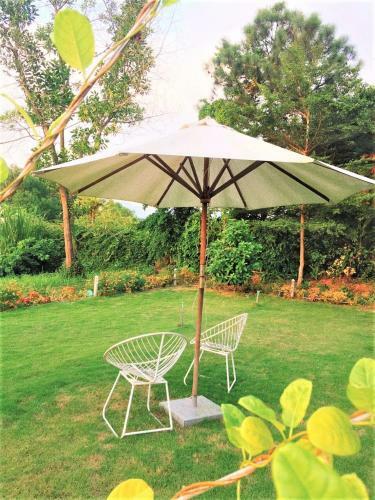Happy Villa T99 By Flamingo Villa Owner