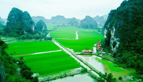 Lotus Field Homestay