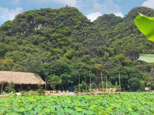 Lodge Green Mountain Homestay