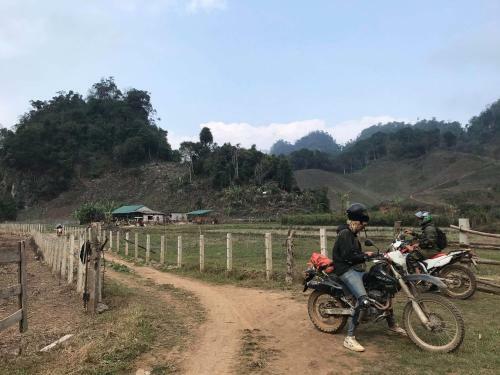 The November - Moc Chau