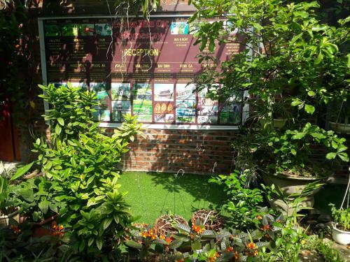 Center Tam Coc Homestay