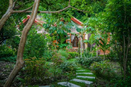 Tam Coc Lake View Homestay