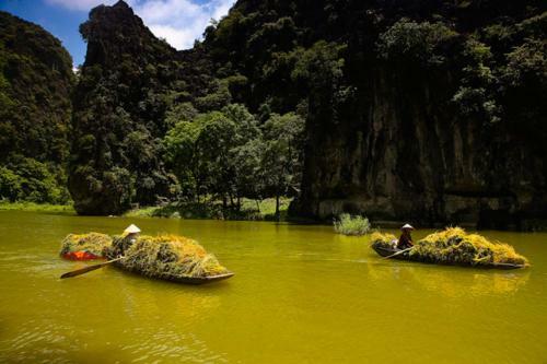 Tam Coc Valley Homestay