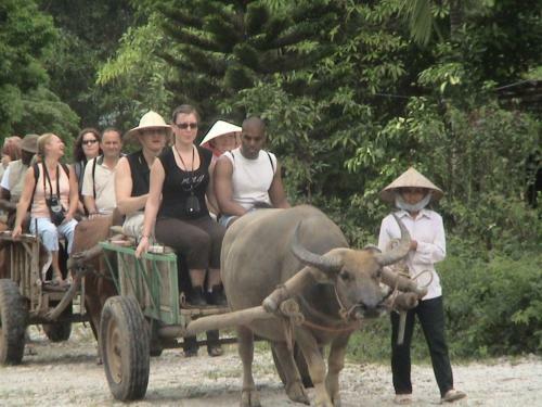 Hotel Ha Trang Guesthouse