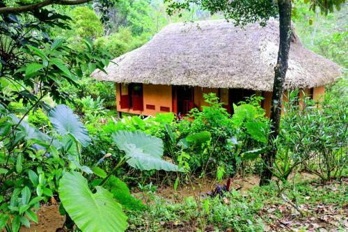 Hotel Ecolodge Pan Hou Village