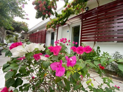 Hostal New Day Phu Quoc Guesthouse