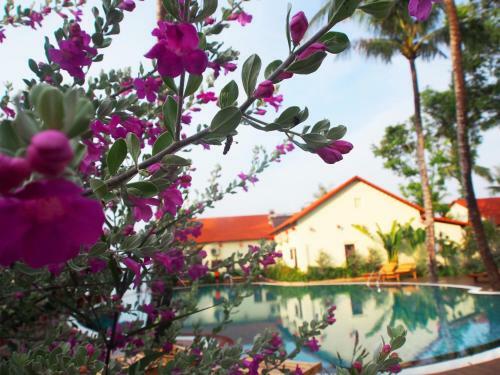 Hotel Hula Hula Beachfront Phu Quoc
