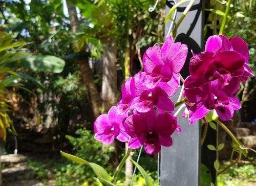 Coco Valley Garden Hotel