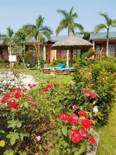 Hotel Cottage Village