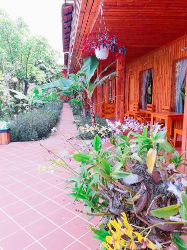 Hotel Ong Lang Garden Resort