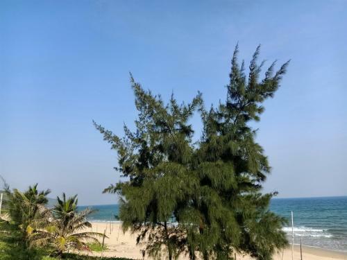 Hostal Quan Lan Nam Phong Hotel
