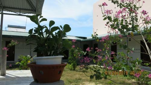 Hotel Nh� Ngh? Ph? N?m