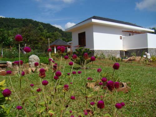 Phu Quoc Private Villa