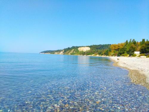 Hostal Orekhovo Zolotoy Bereg Guest House