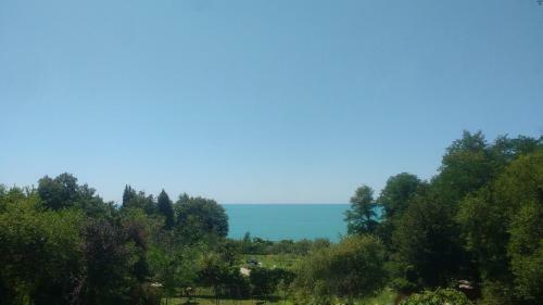 Hostal Orekhovo Zolotoy Bereg Guest House