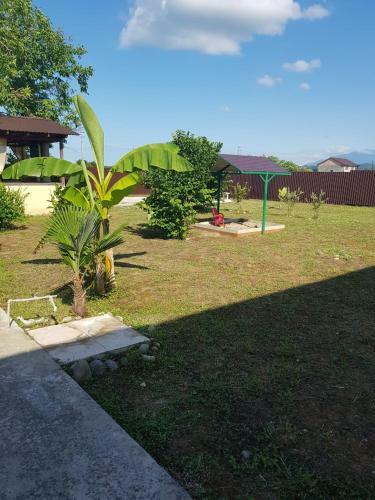 Posada Solnechny Bereg Guest House