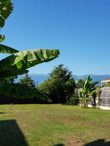 Posada Solnechny Bereg Guest House