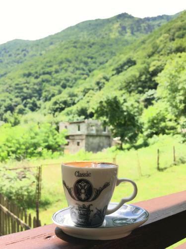 Posada Solnechny Bereg Guest House